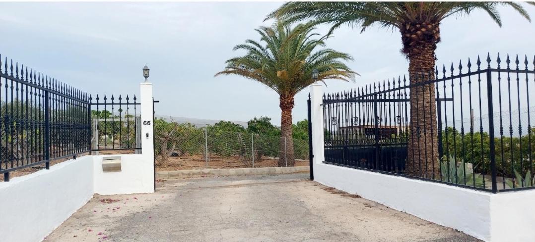 The Black Horse Canarias - Adults Only Maspalomas  Rom bilde